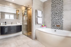 Photo 10- click for photo gallery